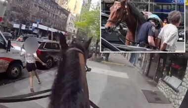 NYC cop on horseback chases down convicted killer-turned-purse snatcher