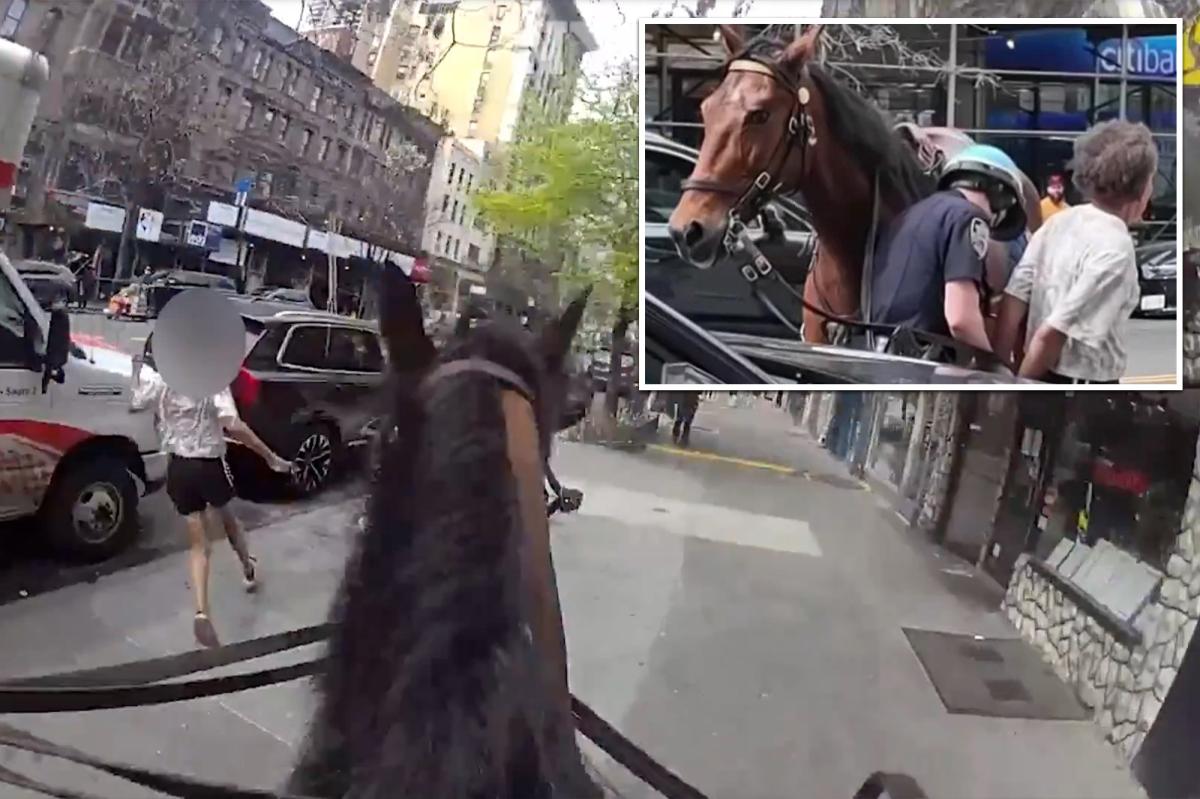 NYC cop on horseback chases down convicted killer-turned-purse snatcher