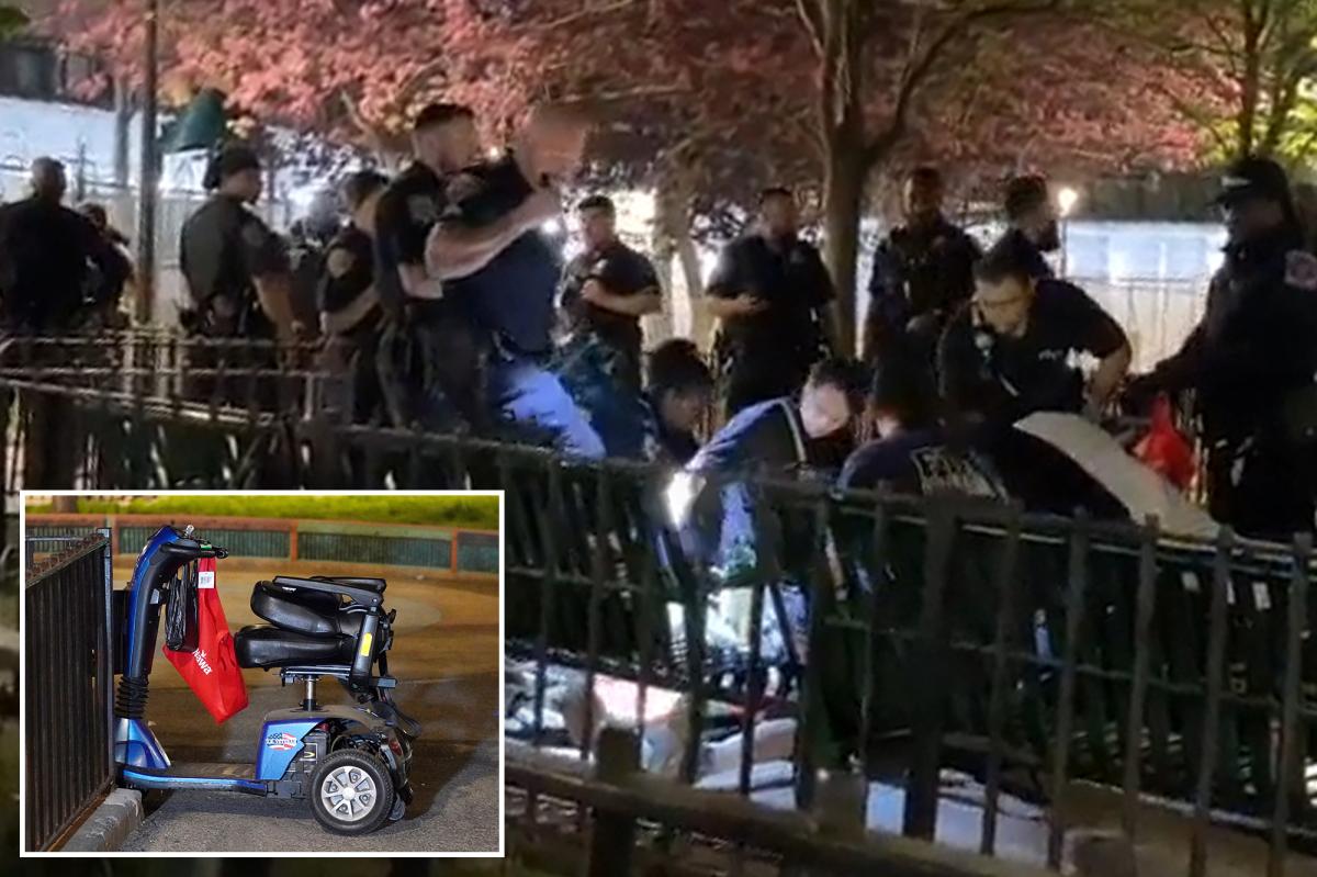 78-year-old innocent bystander shot dead near NYC home
