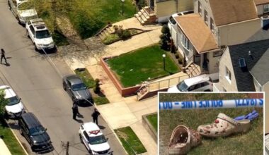 Raging NYC maniac stabs 2 neighbors over French bulldog peeing outside his home: cops