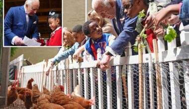 King Charles learns to harvest food as he impresses kids in visit to Harlem farm