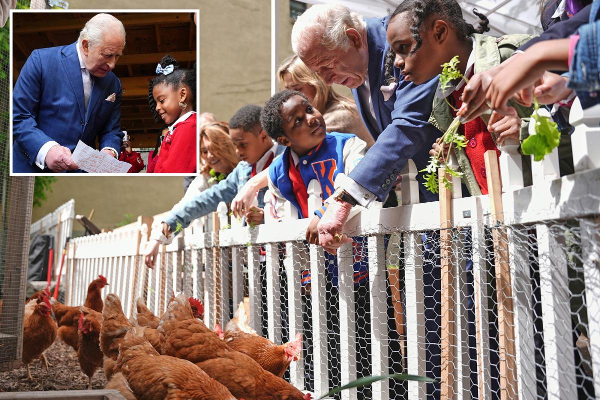 King Charles learns to harvest food as he impresses kids in visit to Harlem farm