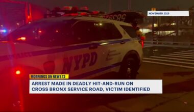 News 12 | Bronx | Man Arrested Months After Fatal Hit And Run In Unionport