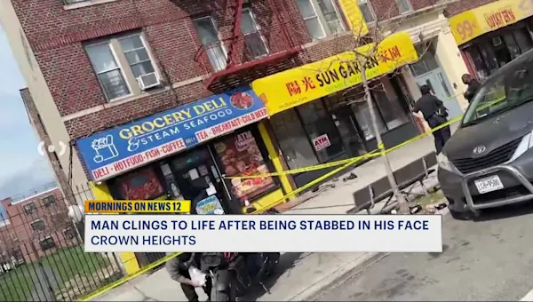 News 12 | Brooklyn | 2 people arrested in connection with Crown Heights stabbing