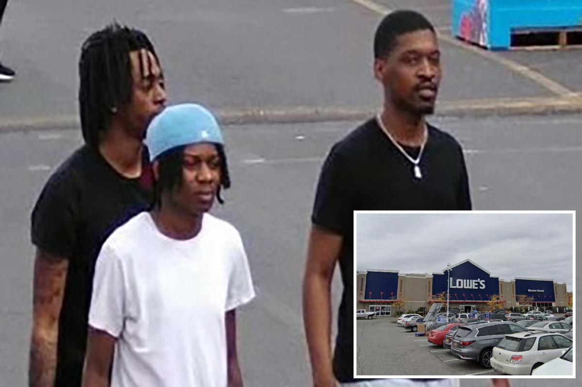 4 goons steal car, mow down 72-year-old using walker in NYC Lowe's parking lot: cops