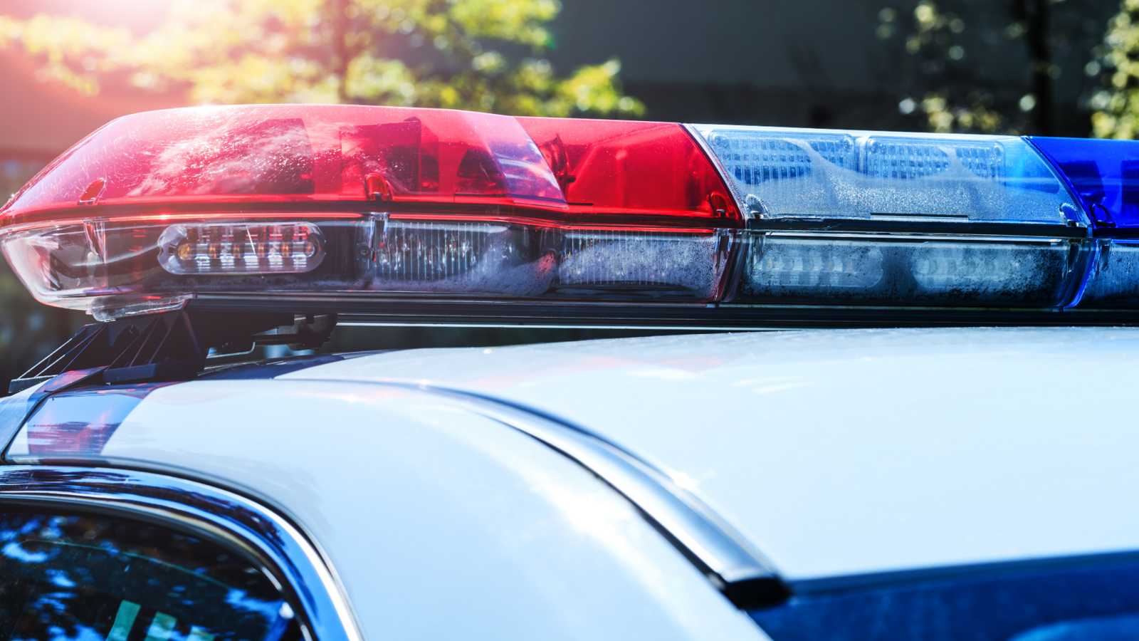 29-year-old woman dead after being hit by truck while crossing road in Bushwick, Brooklyn