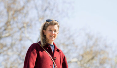 Downtown Tower or Tree-Lined Street? A New Brooklynite Weighed Her Options.