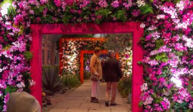 New York Botanical Garden's orchid show brings 'Concrete Jungle' to life