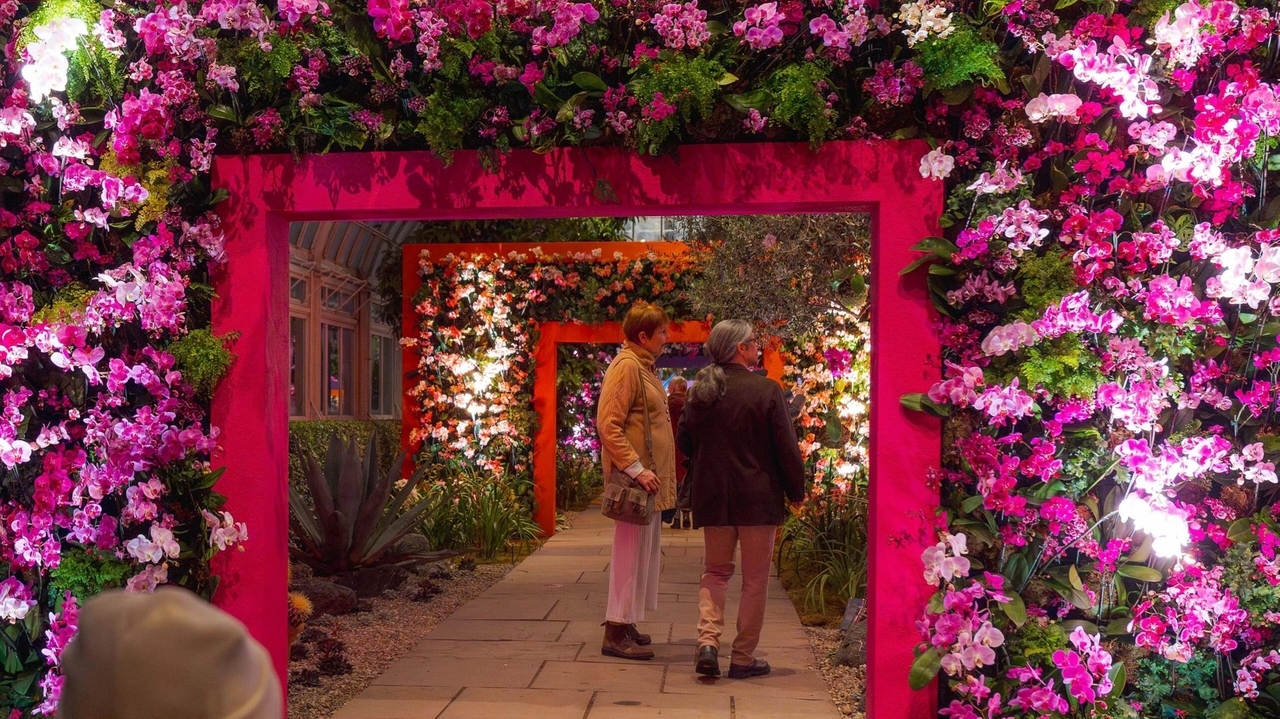 New York Botanical Garden's orchid show brings 'Concrete Jungle' to life