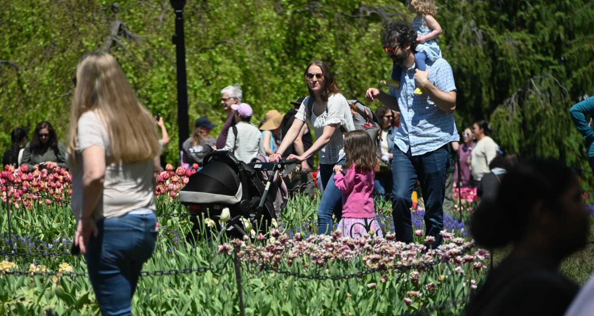 Albany Tulip Festival 2026 lineup, YogaFest announced by city