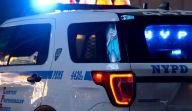 Woman fatally struck in Brooklyn hit and run, NYPD says