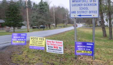 Wynantskill voters back merger with Troy City School District
