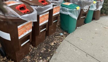 New Yorkers stopped composting after city stopped giving them fines, report shows