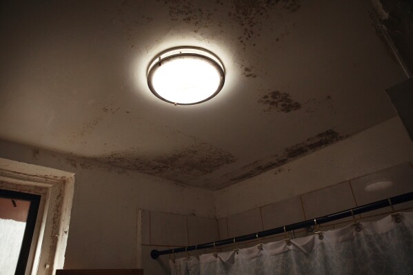 Humidity spreads in Jose Sanchez's bathroom ceiling in an apartment building where tenants report maintenance issues and pest infestations, in the Bronx borough of New York, Tuesday, March 17, 2026. (AP Photo/Andres Kudacki)
