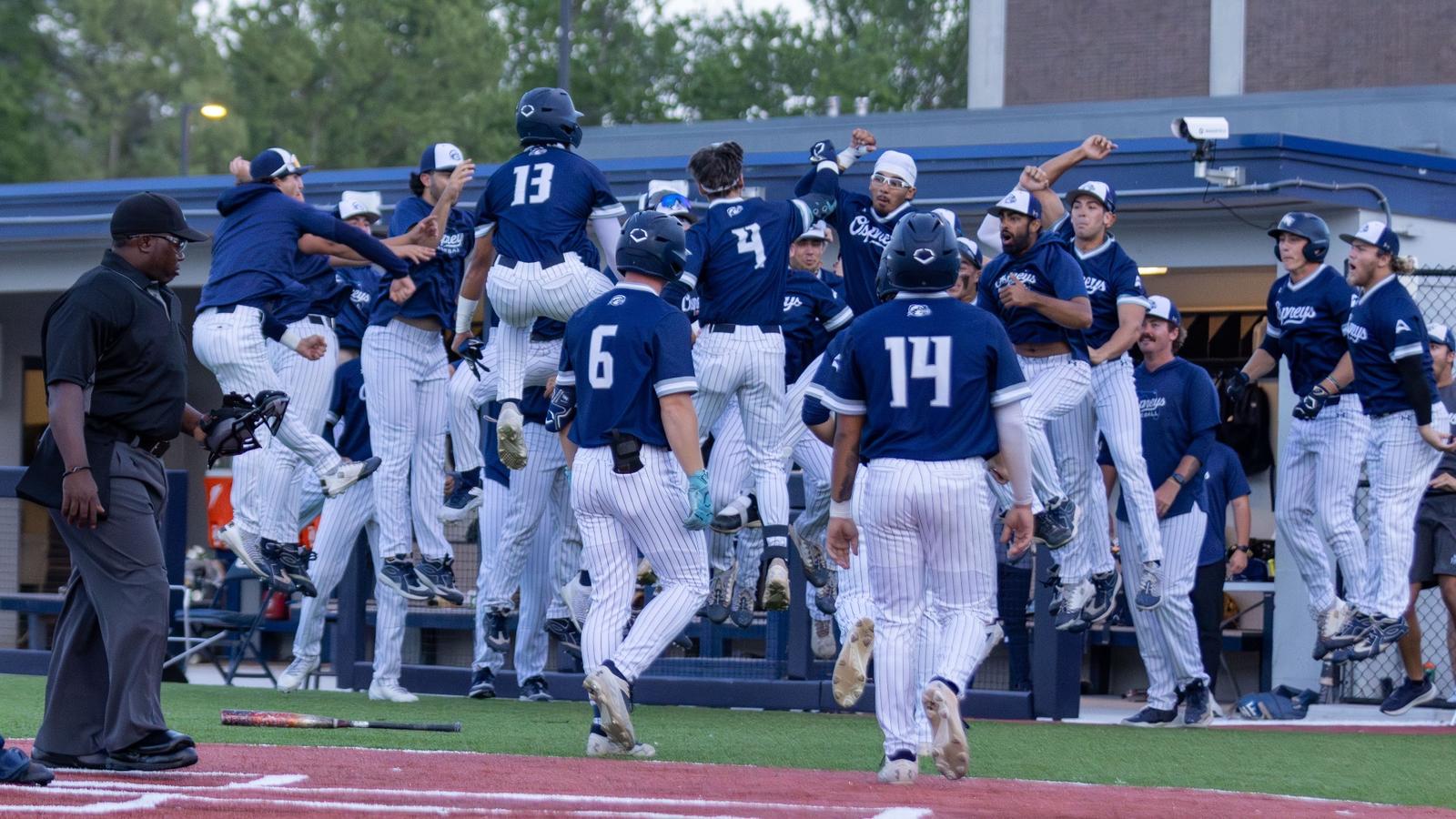 Queens University of Charlotte Logo