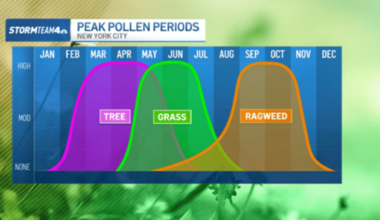 Allergy season is here, and we may not get a break until summer – NBC New York