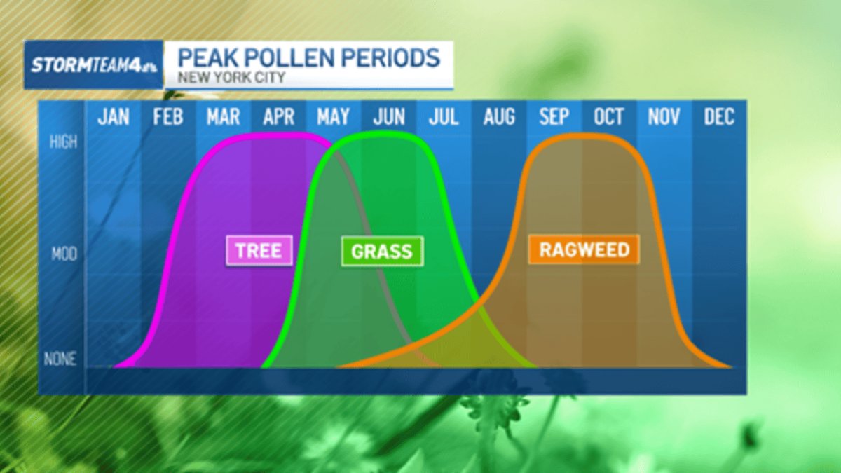 Allergy season is here, and we may not get a break until summer – NBC New York