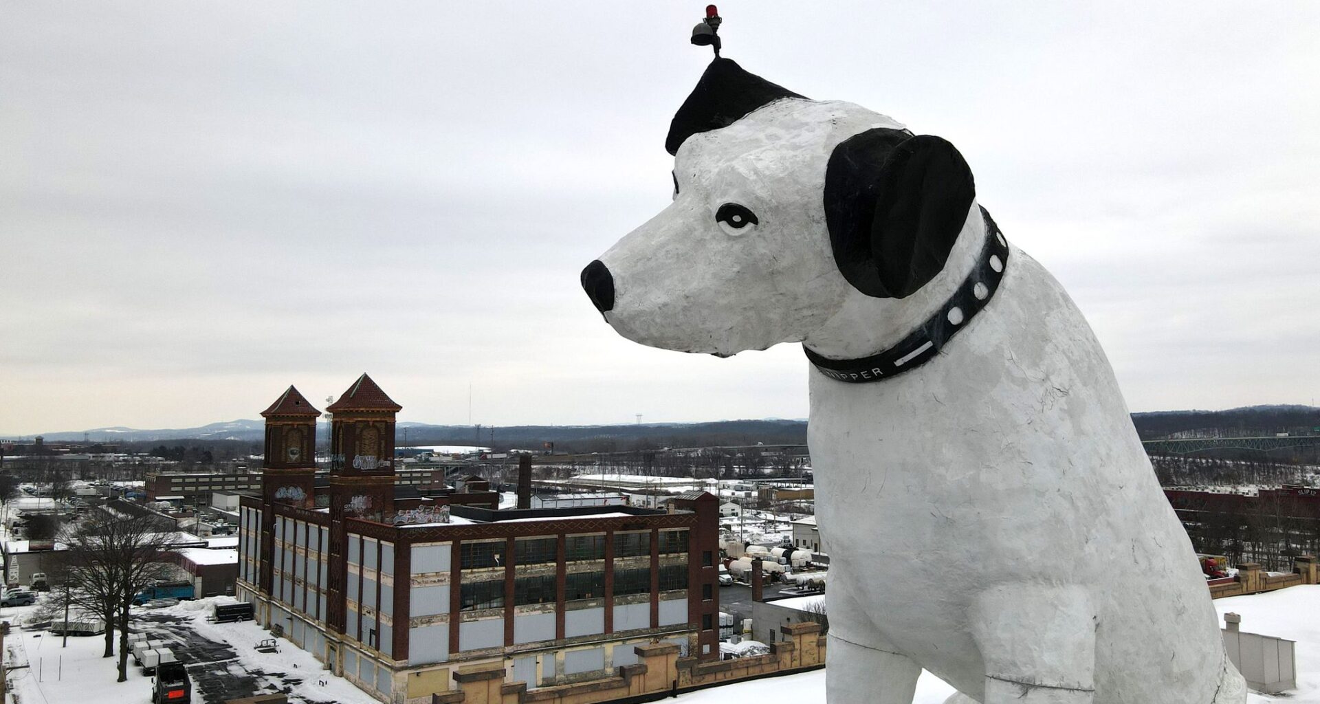 Nipper has our love, but needs our protection