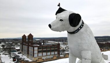 Nipper has our love, but needs our protection