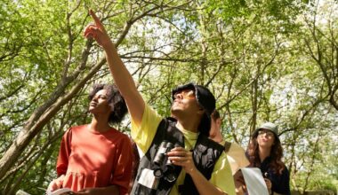Why does everyone seem to be watching this tiny bird in NYC right now