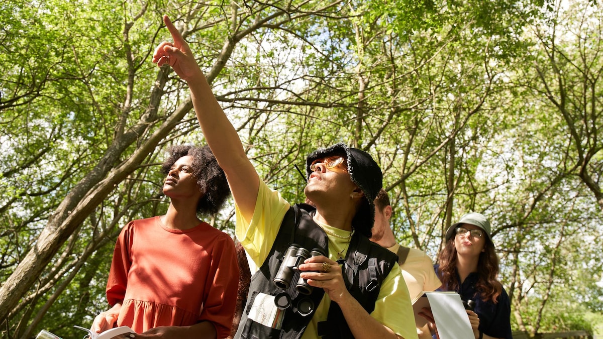Why does everyone seem to be watching this tiny bird in NYC right now