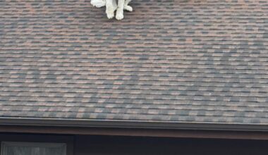 Goshen Police Department rescued a dog from a roof on Wednesday. 