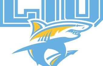 Long Island University, the New York Islanders, and UBS Arena Launch Strategic Partnership and Division I Hockey Tournament