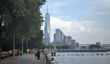 Is it Safe to Eat Fish Caught in the Hudson River in NYC?