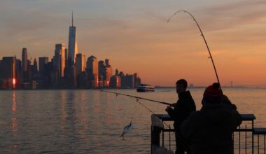 New York relaxes 50-year ban on eating some fish found in Hudson River