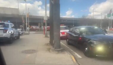 Skeletal remains found under Brooklyn Queens Expressway in Jackson Heights