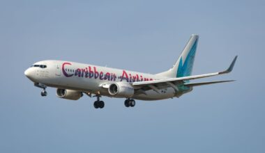 Passenger gives birth midair on flight from Jamaica to New York City