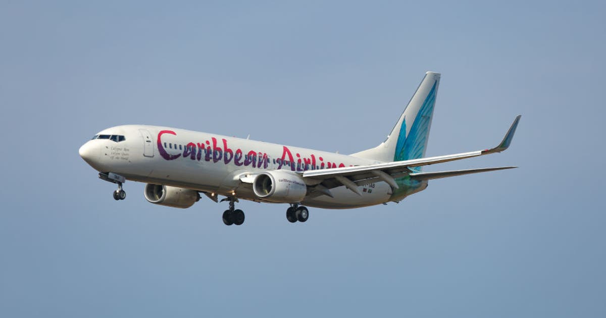 Passenger gives birth midair on flight from Jamaica to New York City