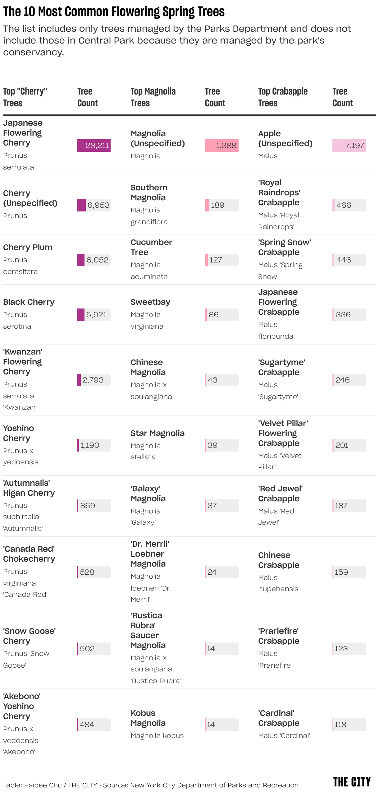 Top 10 Varieties for Flowering Spring Trees (Table)