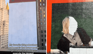 Melissa Fleur Afshar