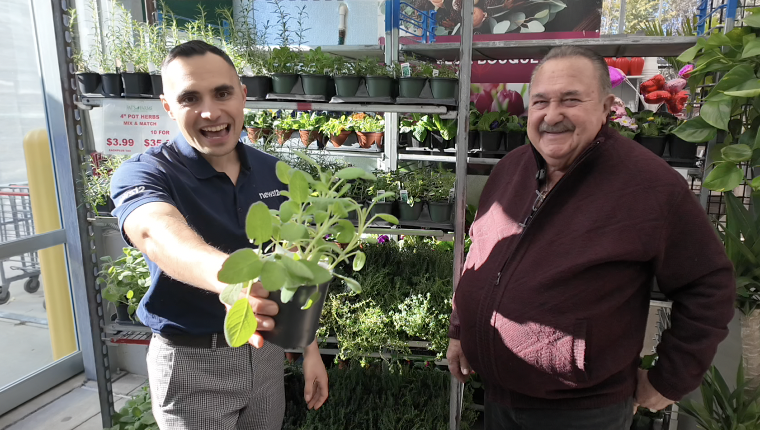 News 12 | Bronx | Five Easy Herbs For Your Garden That Grow Back Better Every Year