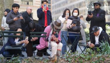 New Yorkers flock to Manhattan park for lovable woodcocks' bobbing strut