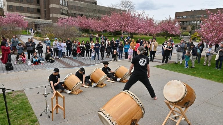 Students playing taiko drums during the Sakura Matsuri: Cherry Blossom...