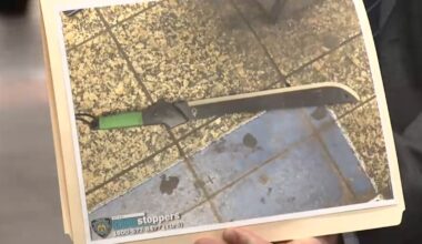 Slashing suspect shot by police after injuring 3 at Grand Central subway station in New York