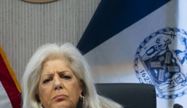 Paladino presents her case - City & State New York