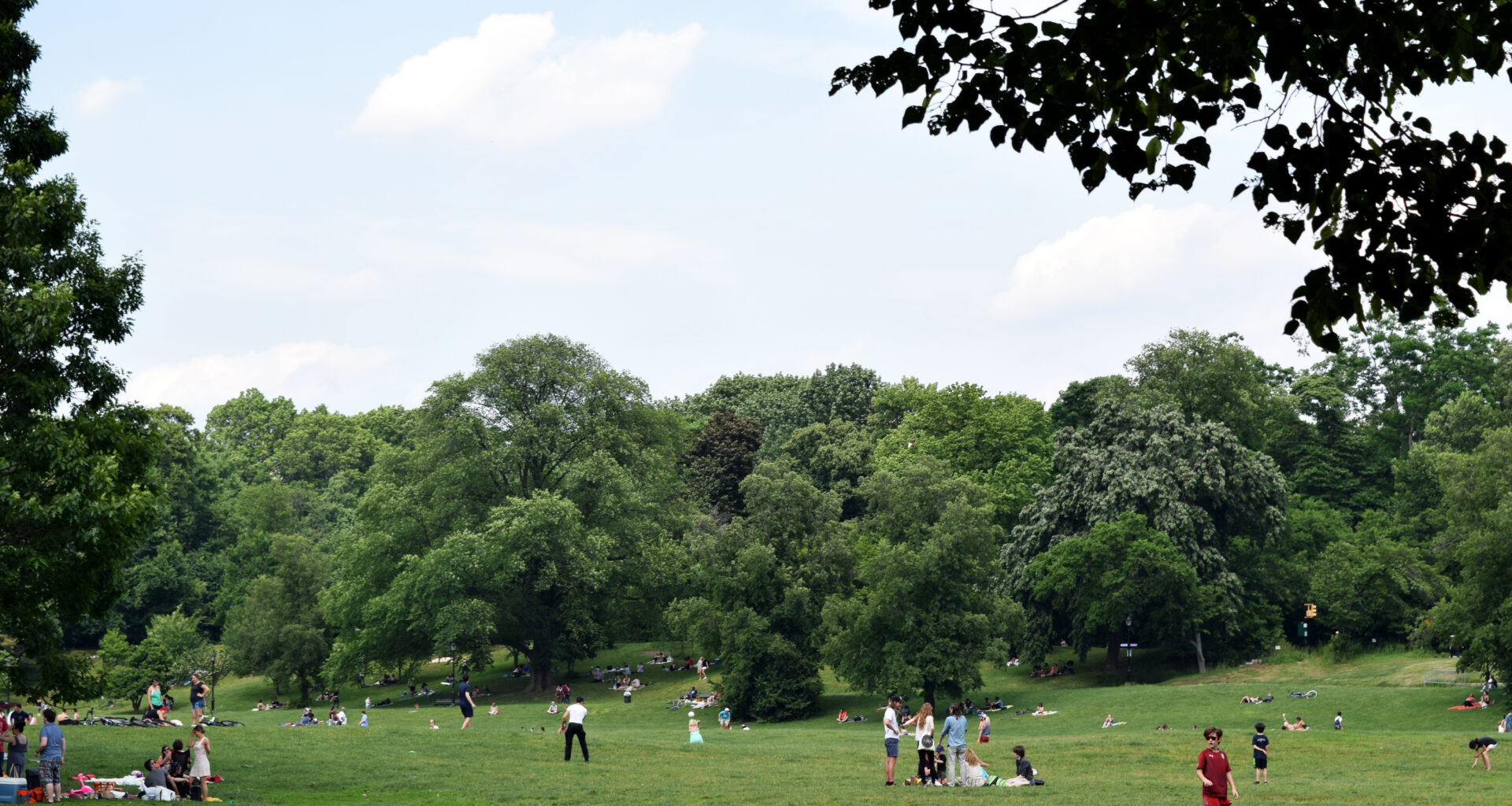 Molière in the Park Announces 2026 Season Lineup of Free Outdoor Shows