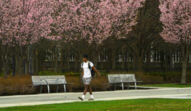 A student walks to class along a path lined with blooming trees at University at Albany on Wednesday. Some high school students are debating whether to go to college, where they may incur large amounts of debt, or go straight into the workforce, where they may earn less without a degree.