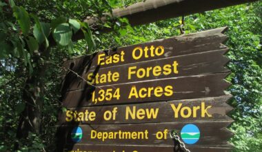 New York buys 700 acres near one of Upstate’s most scenic valleys – This is CNY