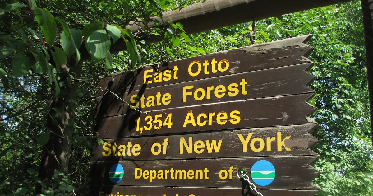 New York buys 700 acres near one of Upstate’s most scenic valleys – This is CNY