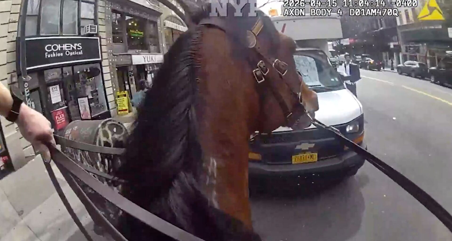 Mounted New York police officer and his horse corner suspected purse snatcher in Manhattan