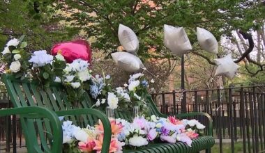 Grandfather killed, hit by stray bullet in the Bronx