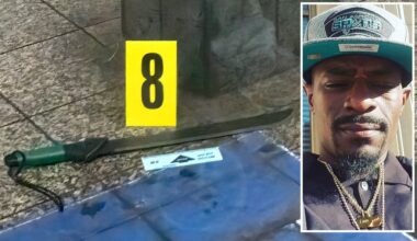 The inside story of the Grand Central slasher