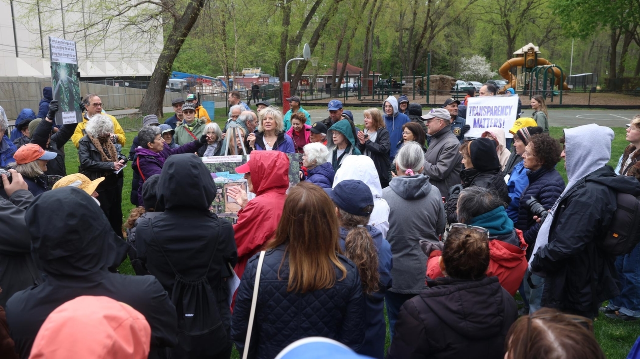 Keeping Kings Point Park green focus of rally against parking lot