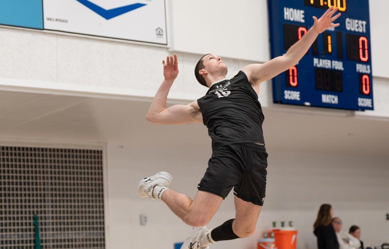 Queens University of Charlotte Logo