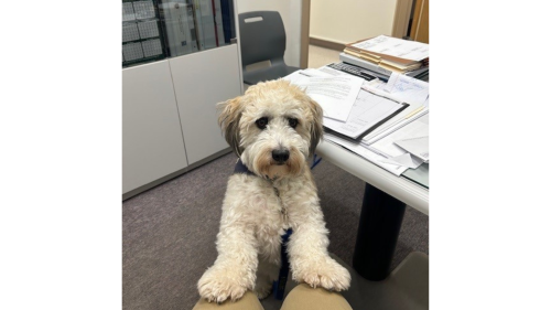 Affiliate Article 1 thumbnail - JP (30).png