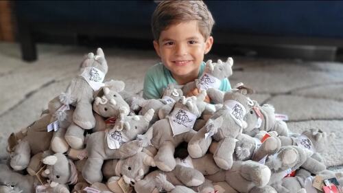 Rhinos for rockstars.jpg